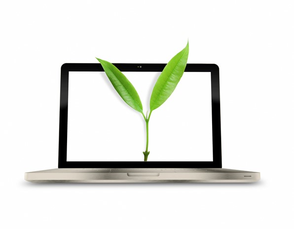 early childhood pedagogy